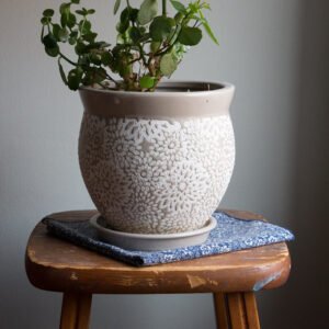 Jade plant in a speckled ceramic pot on a wooden stool