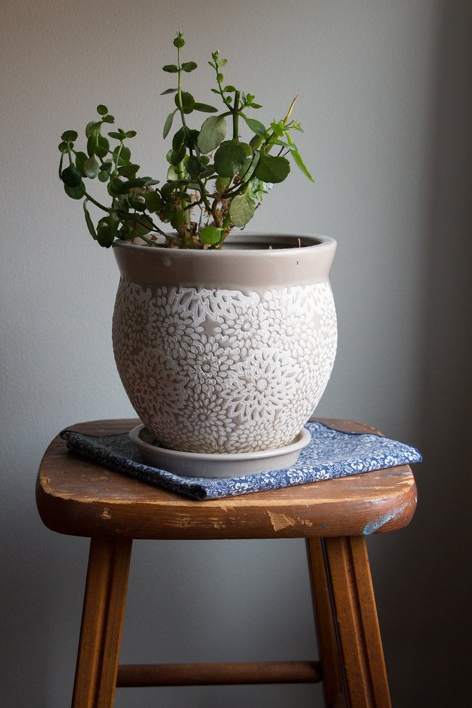Jade plant in a speckled ceramic pot on a wooden stool