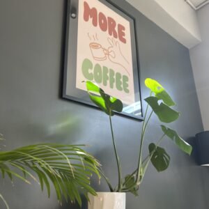 Monstera and palm in white pots beneath a framed print